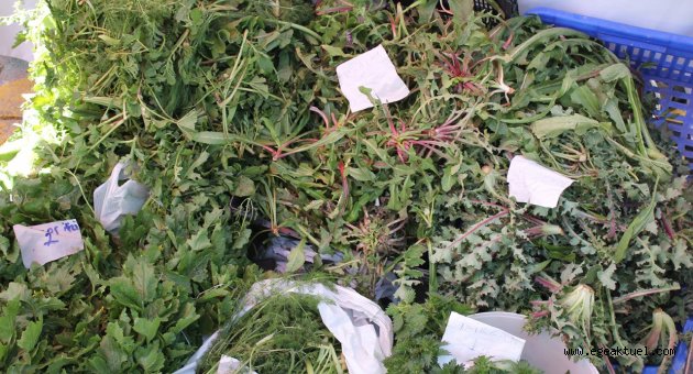 Urla Ot Festivali için geri sayım başladı