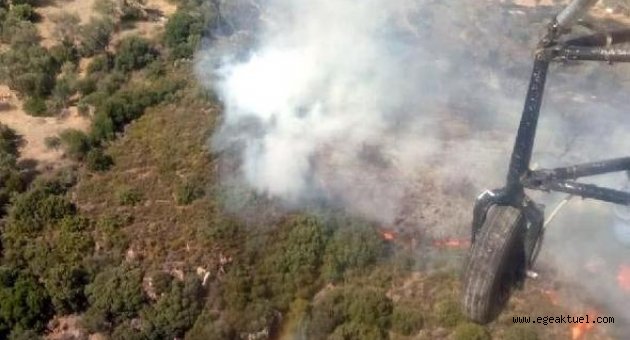 Urla'da yerleşim alanı yakınında makilik yangını