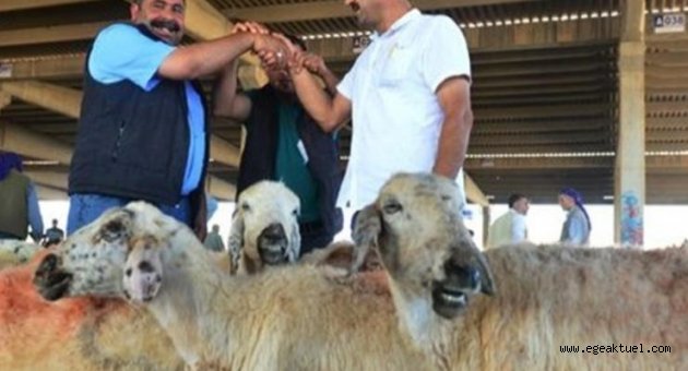 Uzmanlar uyardı: Virüse bayram ettirmeyelim