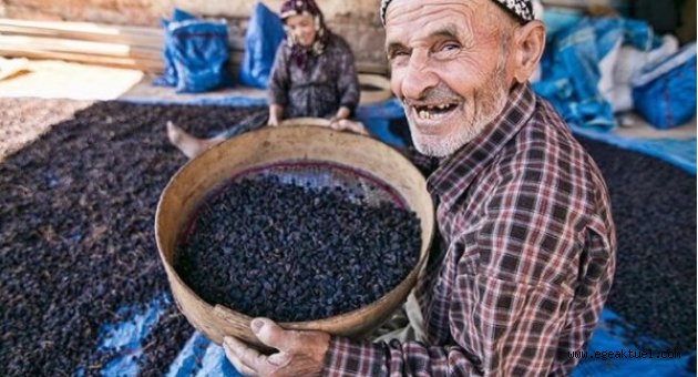 Üzüm ve incirde birinciler seçildi 