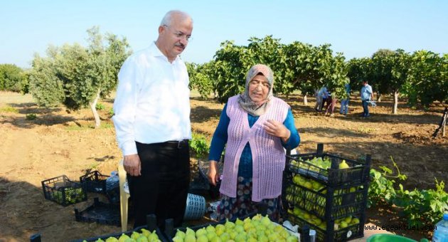 Vali Ayyıldız'a festival ziyareti