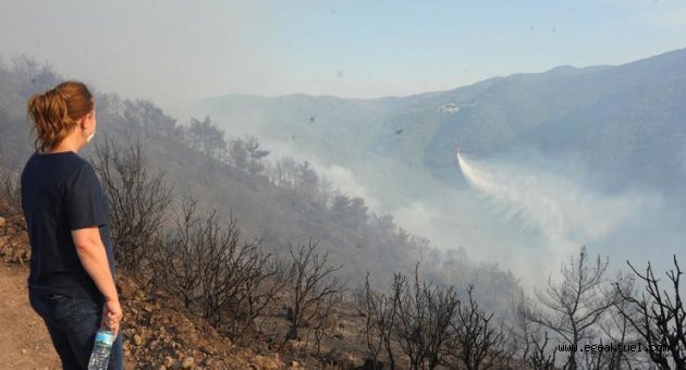 "Yanan her ağaçla canımız yanıyor"