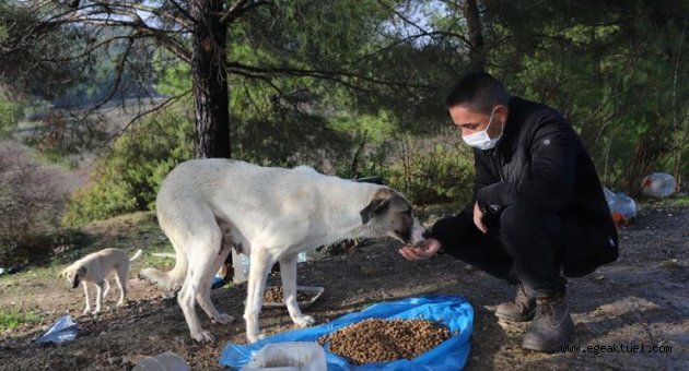 Yeni Yılda Can Dostlar Unutulmadı