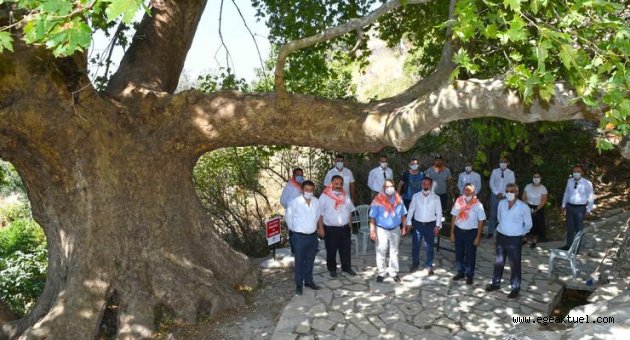 Yüzlerce yıllık gölgesinde serinletiyor