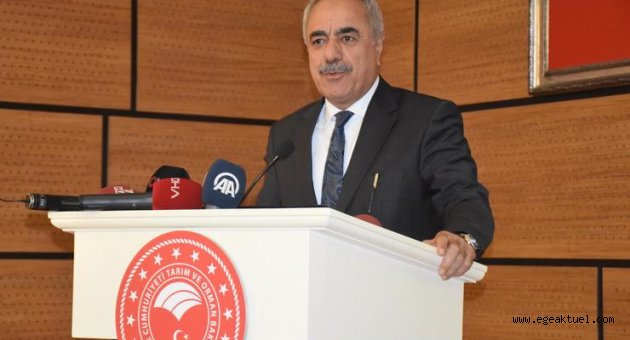 Zeytinde rekolte beklentisi 1 milyon 515 bin ton