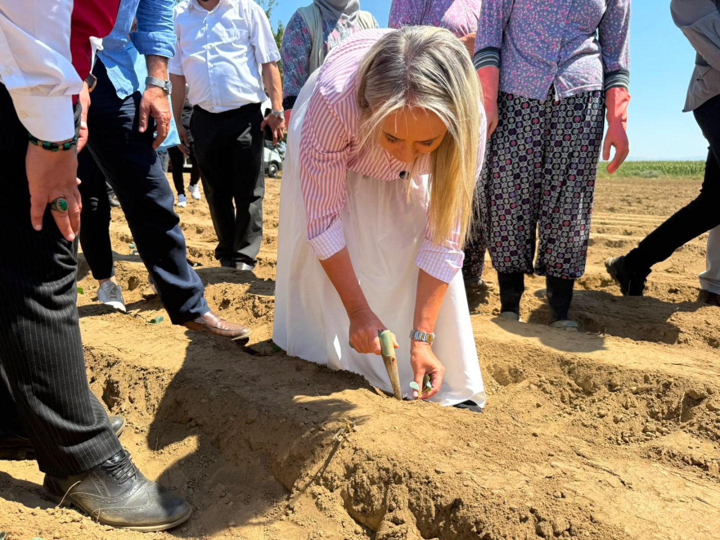 Ödemiş’te üreticiye kışlık sebze desteği